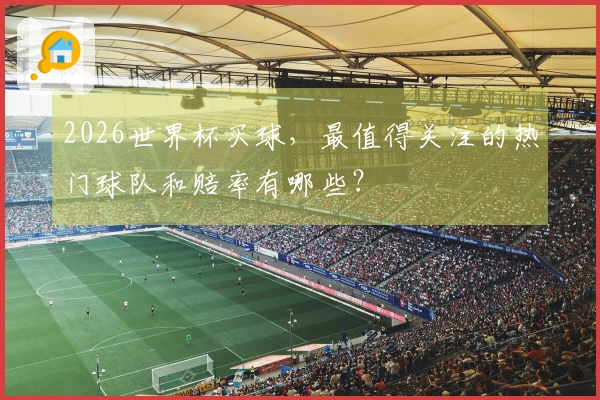 2026世界杯买球，最值得关注的热门球队和赔率有哪些？