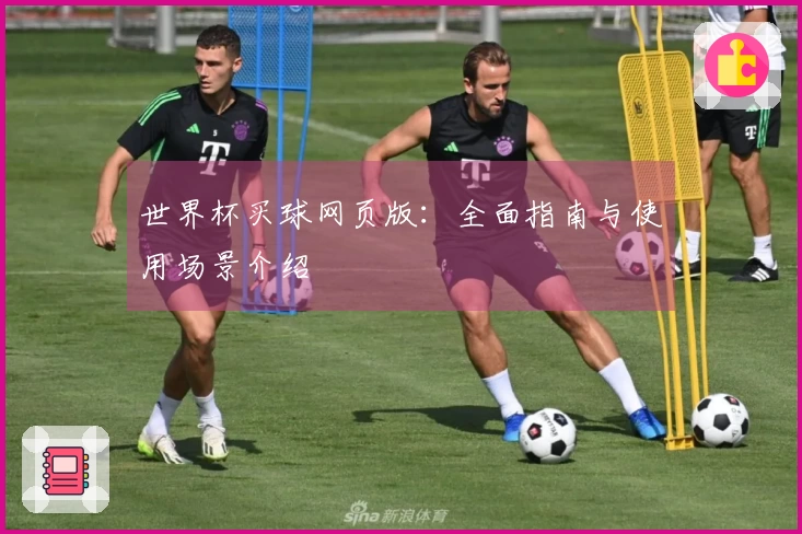世界杯买球网页版：全面指南与使用场景介绍