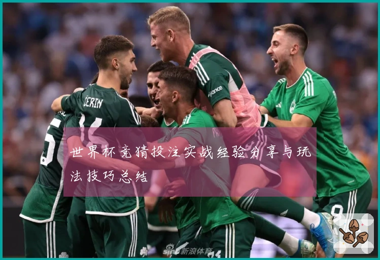 世界杯竞猜投注实战经验分享与玩法技巧总结