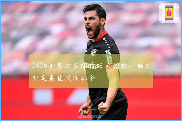 2026世界杯买球技巧大揭秘，助你锁定最佳投注机会