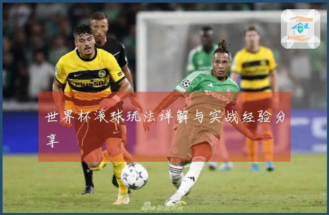 世界杯滚球玩法详解与实战经验分享