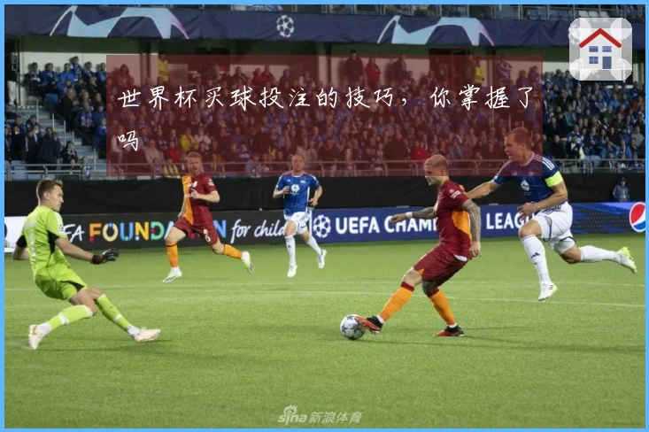 世界杯买球投注的技巧，你掌握了吗