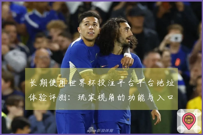 长期使用世界杯投注平台平台地址体验评测：玩家视角的功能与入口详解
