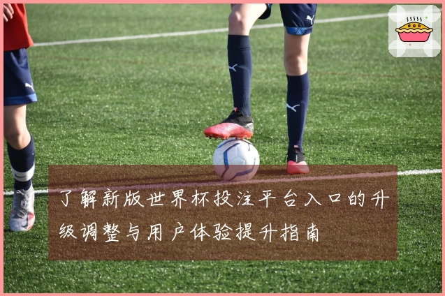 了解新版世界杯投注平台入口的升级调整与用户体验提升指南