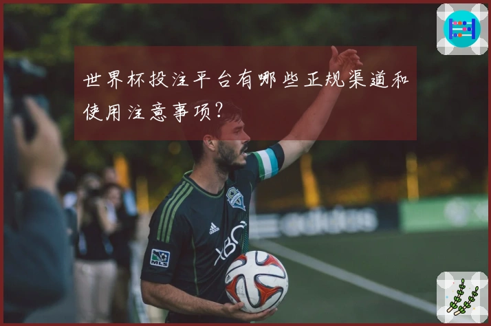 世界杯投注平台有哪些正规渠道和使用注意事项?