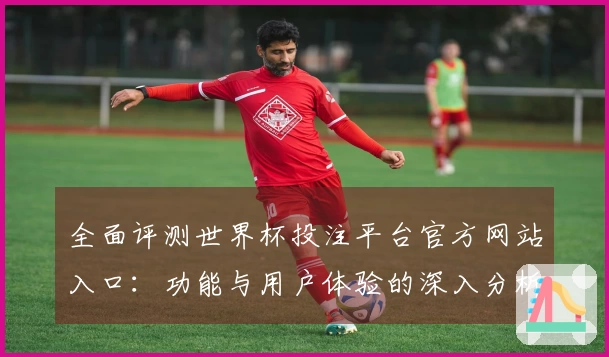 全面评测世界杯投注平台官方网站入口：功能与用户体验的深入分析