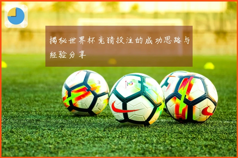 揭秘世界杯竞猜投注的成功思路与经验分享