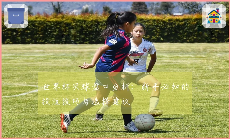世界杯买球盘口分析：新手必知的投注技巧与选择建议
