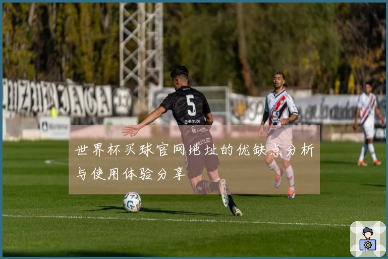 世界杯买球官网地址的优缺点分析与使用体验分享