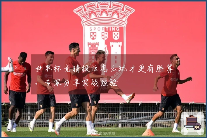 世界杯竞猜投注怎么玩才更有胜算，专家分享实战经验