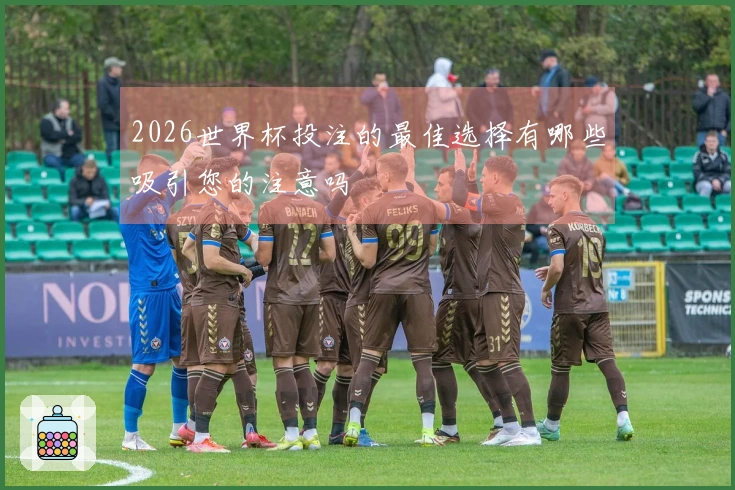 2026世界杯投注的最佳选择有哪些吸引您的注意吗