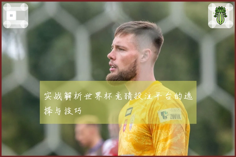实战解析世界杯竞猜投注平台的选择与技巧