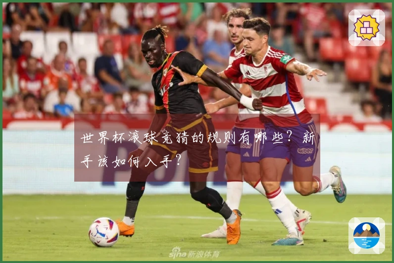 世界杯滚球竞猜的规则有哪些？新手该如何入手？