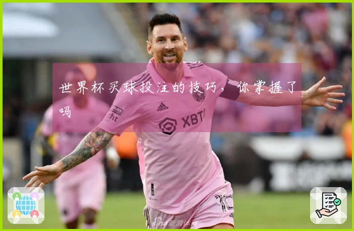 世界杯买球投注的技巧,你掌握了吗