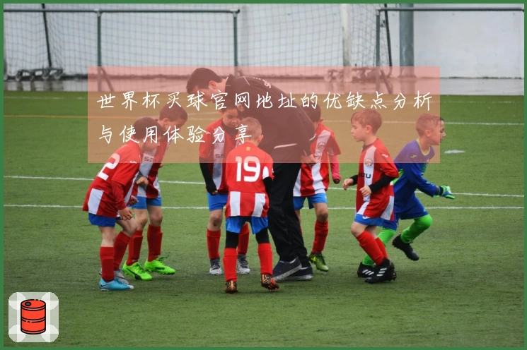 世界杯买球官网地址的优缺点分析与使用体验分享