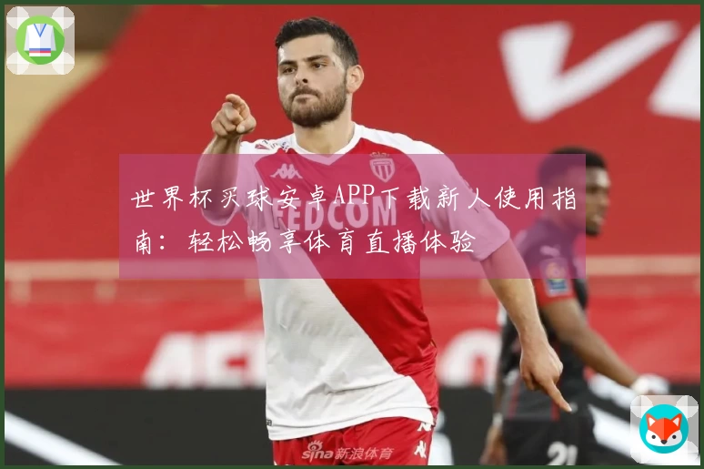 世界杯买球安卓APP下载新人使用指南:轻松畅享体育直播体验