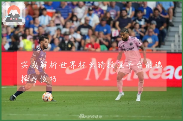 实战解析世界杯竞猜投注平台的选择与技巧